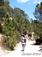 VTT-Corse