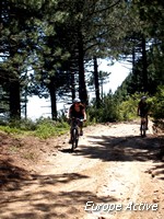 VTT-Corse